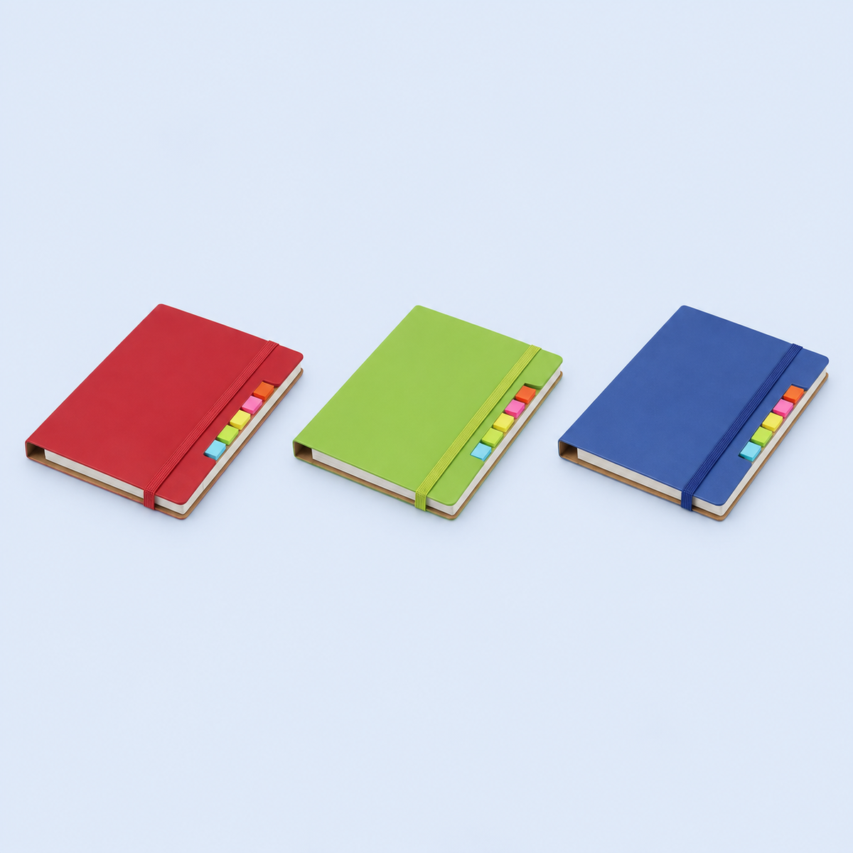 Notitieboekjes & schriften