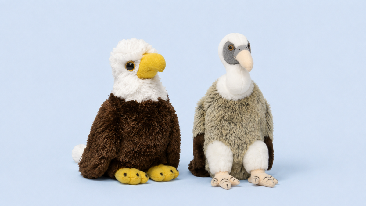 Knuffel roofvogels