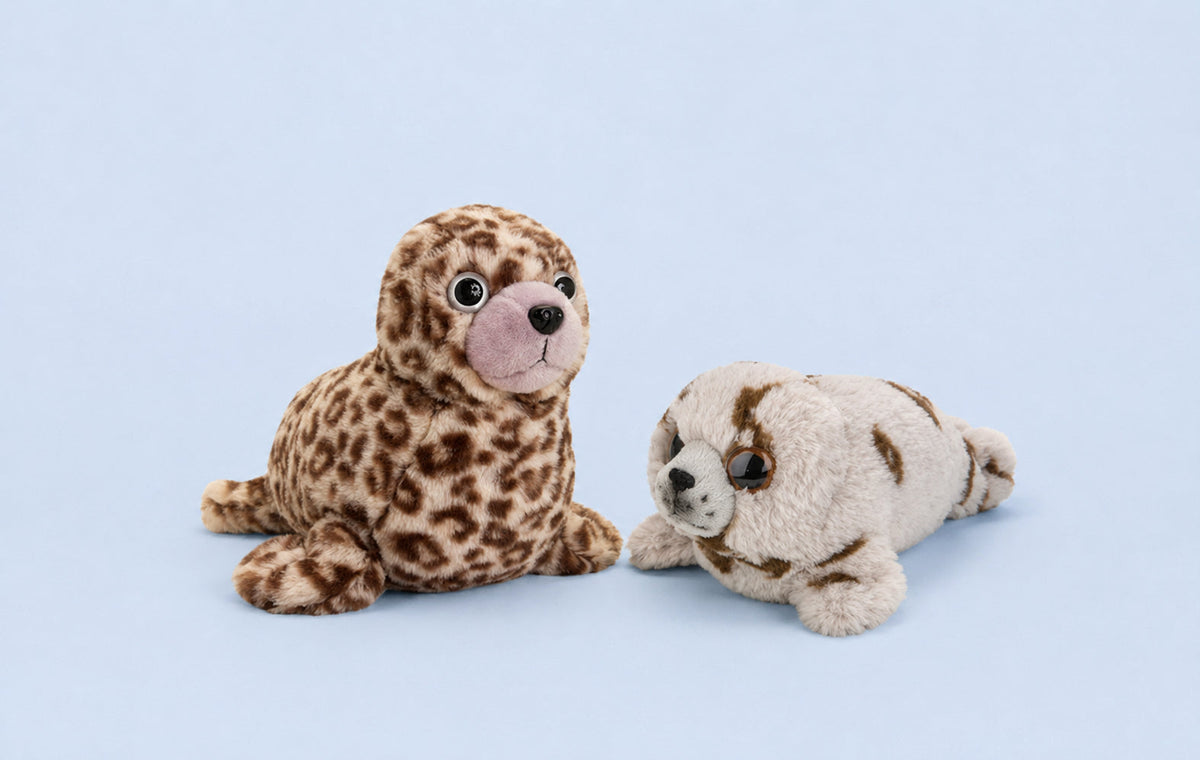 Knuffel zeehond en Zeeleeuw