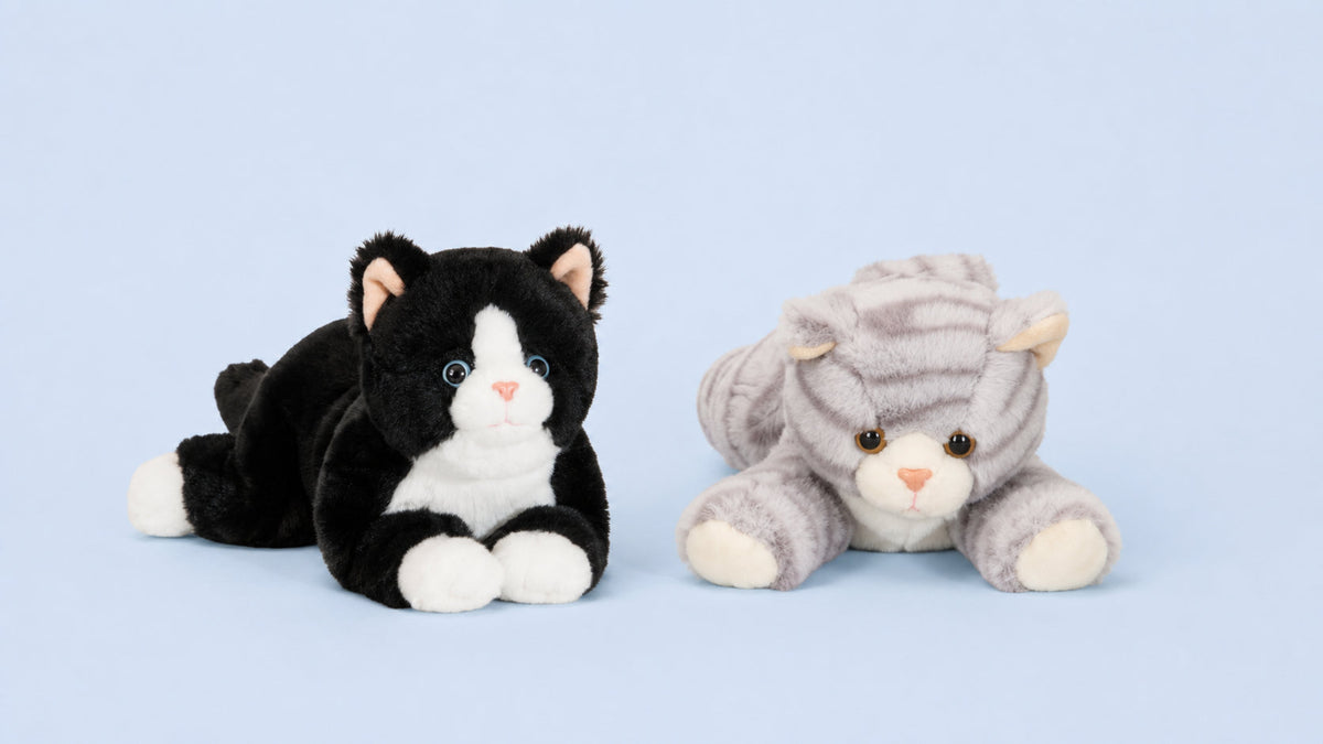 Knuffel katten