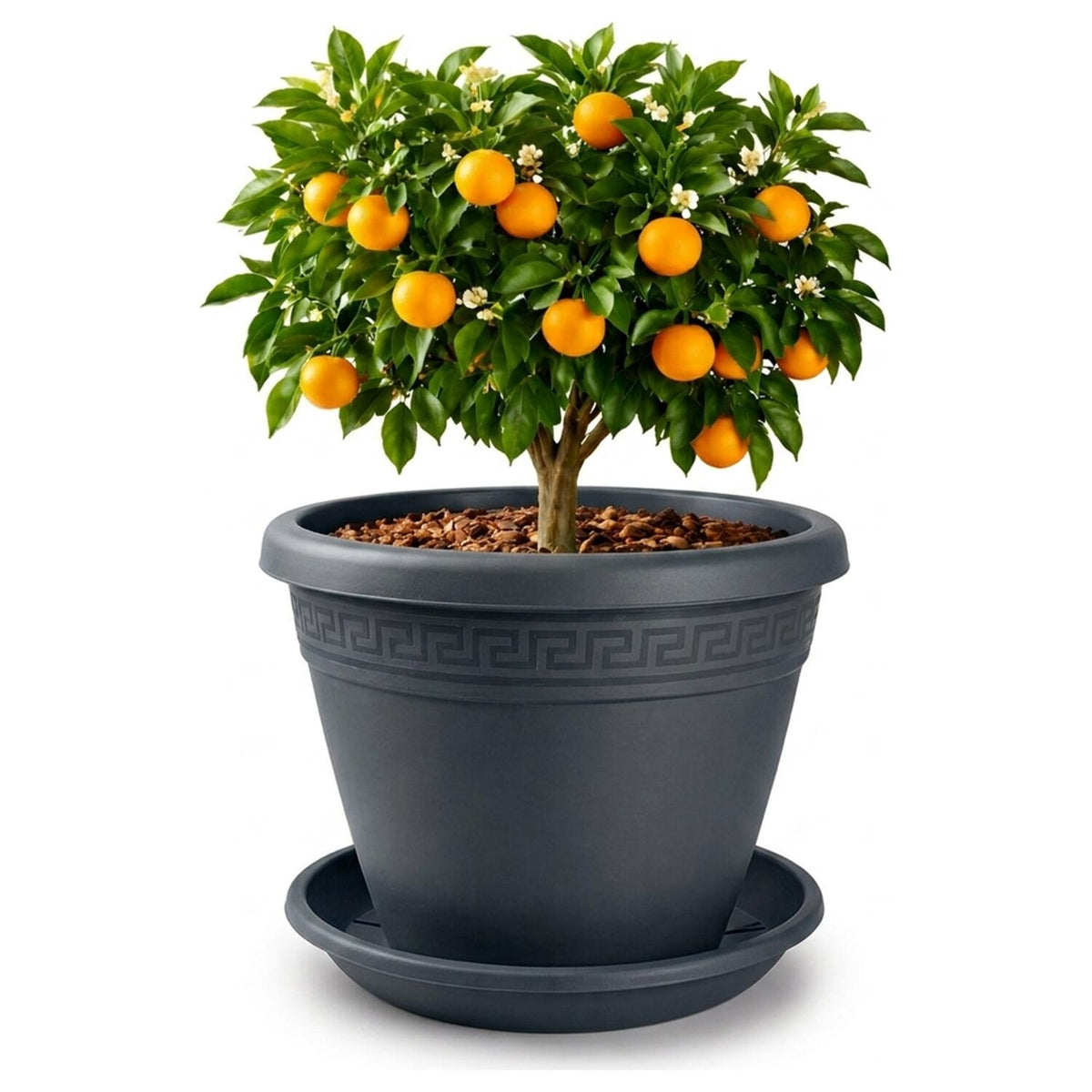 plasticforte-plantenpot-onder-schotel--opvang-schaal-antraciet-dia-45-cm-kunststof_10495002-2