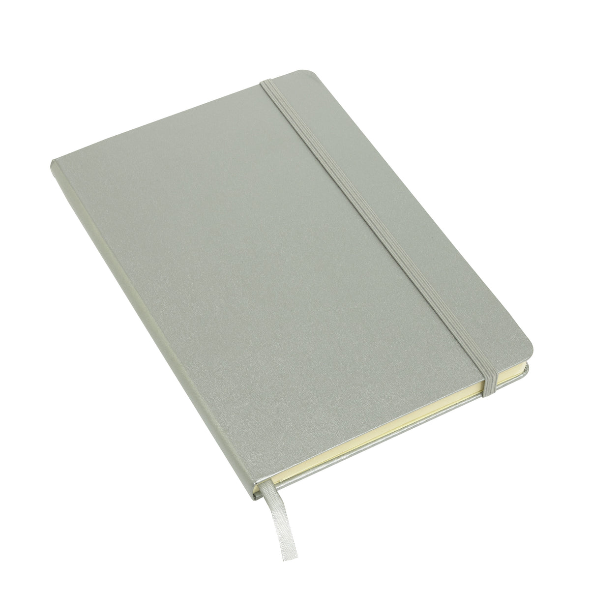 schoolschrift-notitieboek-luxe-versie-a5-gelinieerd-harde-kaft-zilver-met-sluitband_10293019