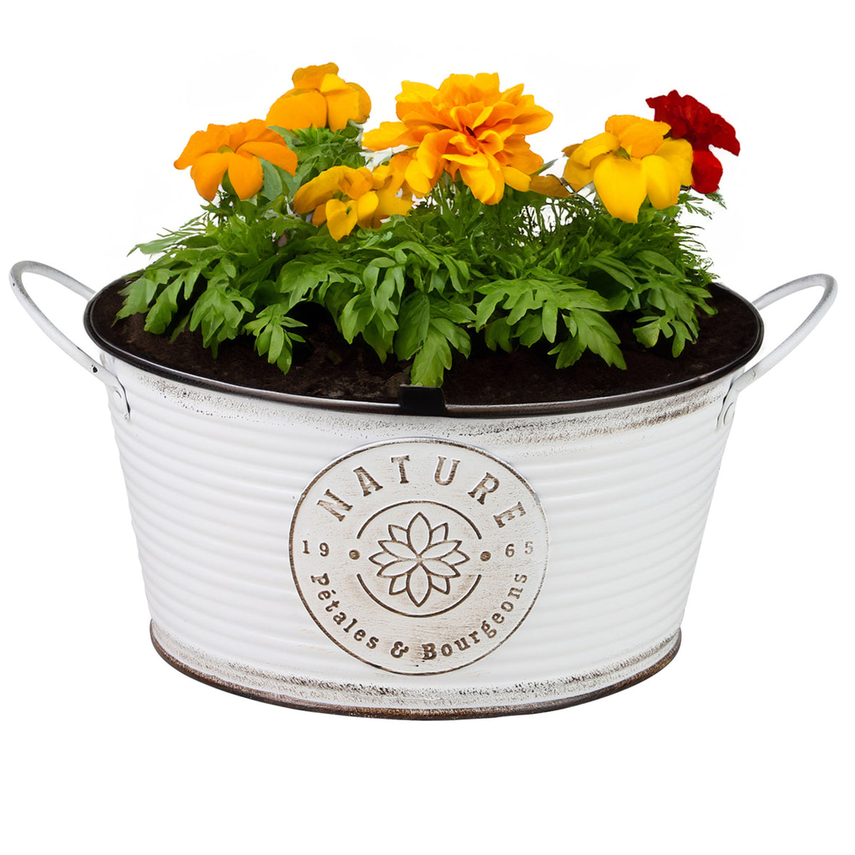 plantenpot-bloempot-teil-voor-buiten-zink-rond-ivoorwit-d25-x-h12-cm_10431020