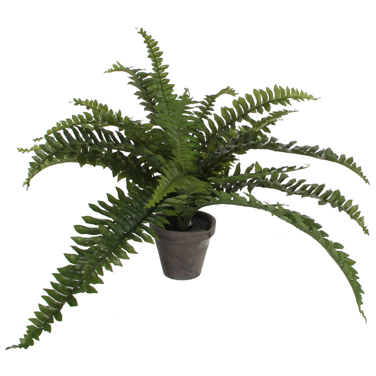 mica-decorations-boston-varen-kunstplant-kamerplant-groen-in-pot-h35-cm-x-d45-cm_10289038