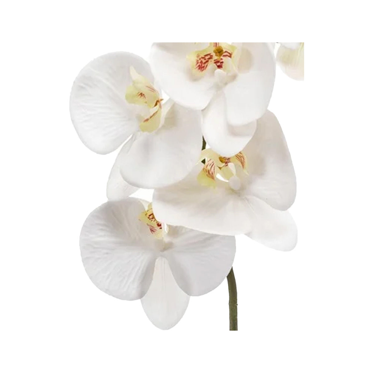 kunstbloem-orchidee-83-cm-wit-losse-tak-kunst-zijdebloem-phalaenopsis_10434040-1