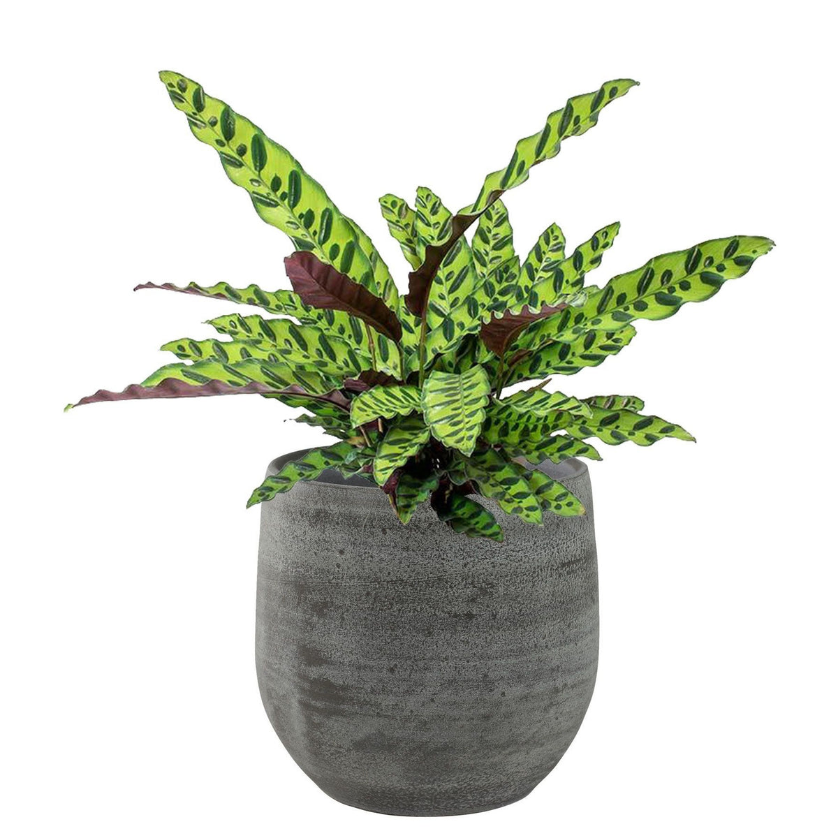 plantenpot-bloempot-keramiek-mystic-grijs-d22-x-h20-cm_10345053-1