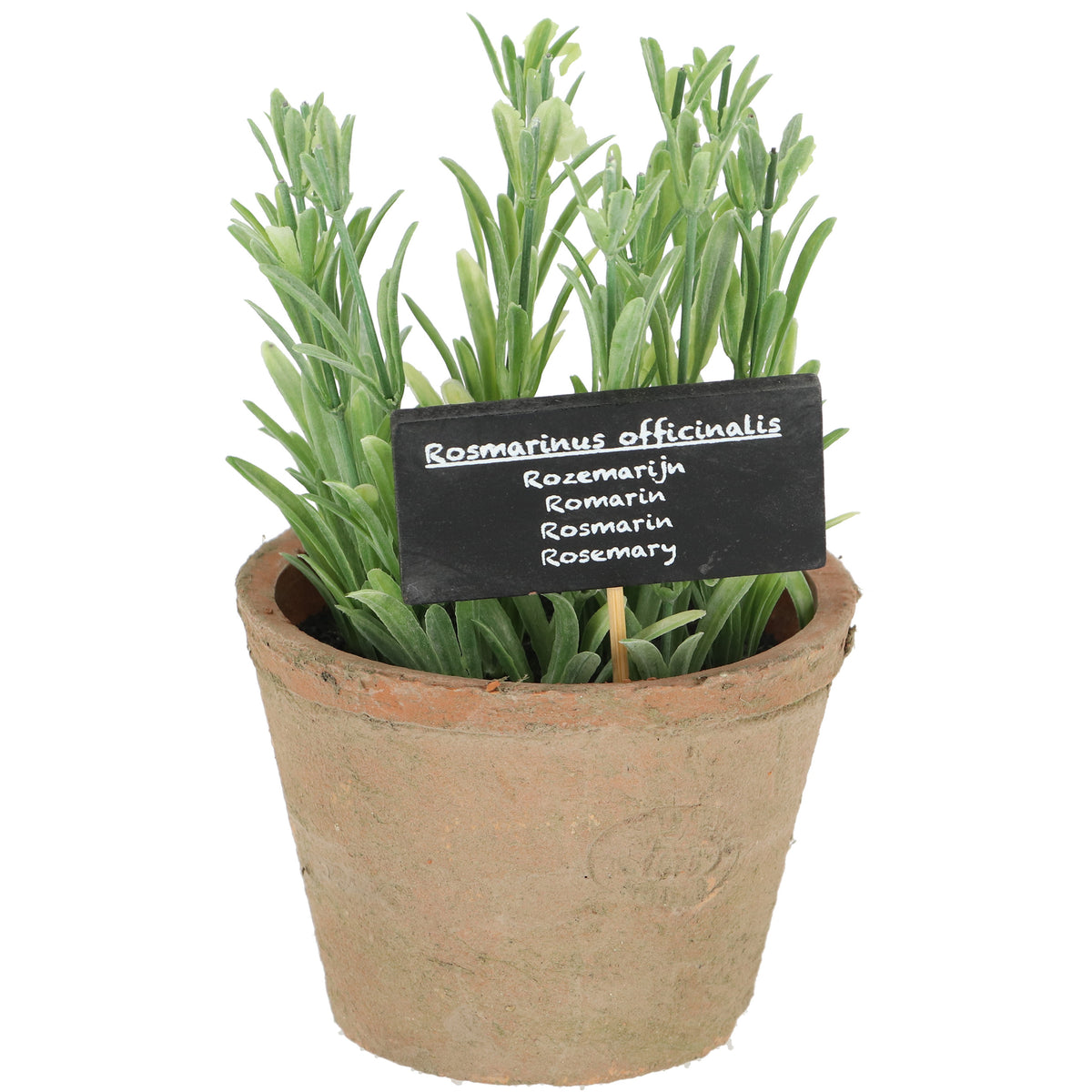 kunstplant-kruiden-rosemarijn-in-oude-terracotta-pot-18-cm-kruiden_10429063-2