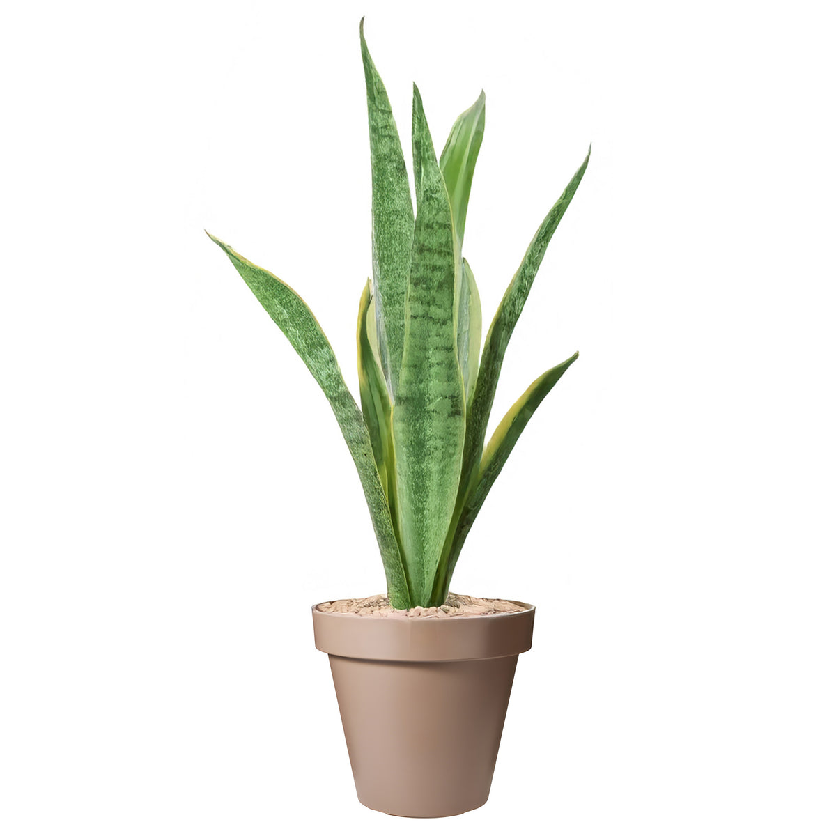 pro-garden-bloempot--mokka-bruin-rond-d40-cm-kunststof-plantenpot-tuin-buiten_10489076-2