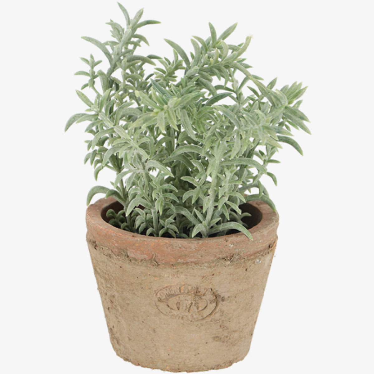 kunstplant-kruiden-tijm-in-oude-terracotta-pot-15-cm-kruiden_10429076