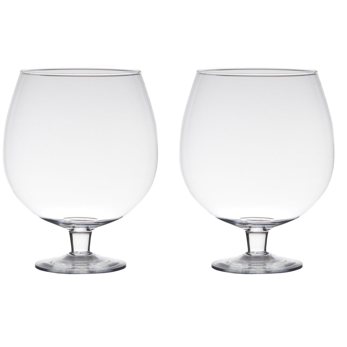 hakbijl-glass-luxe-stijlvolle-brandy-vaas-van-glas-10-liter-d30-x-h38-cm-bloemen-terrarium_10263085-3