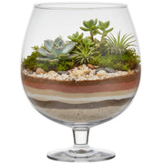 hakbijl-glass-luxe-stijlvolle-brandy-vaas-van-glas-10-liter-d30-x-h38-cm-bloemen-terrarium_10263085-5
