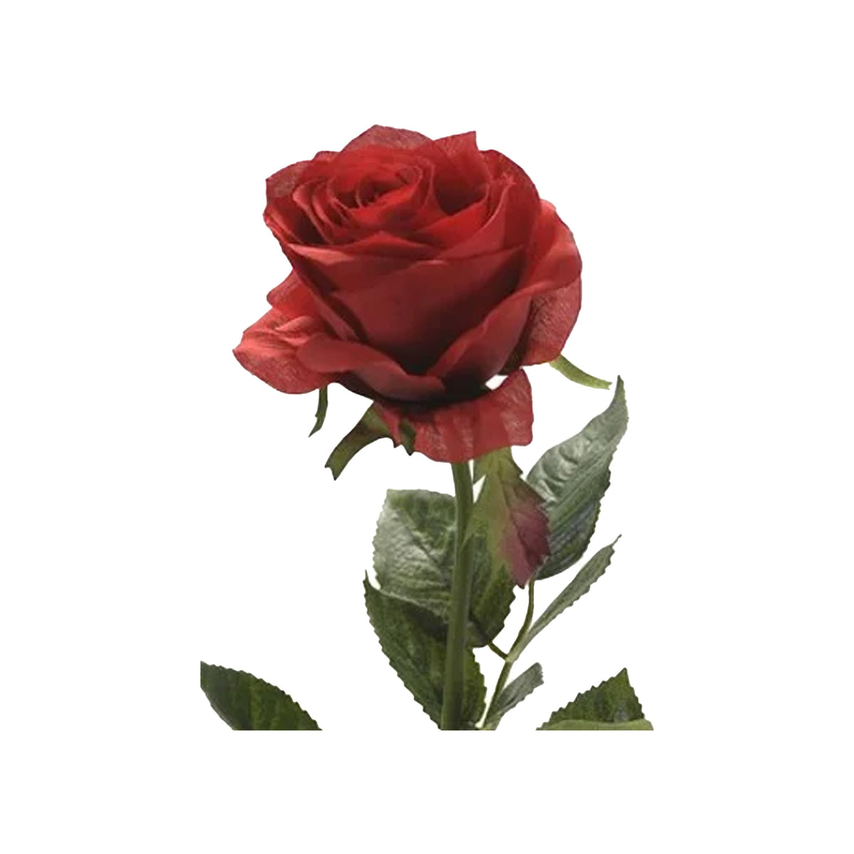 kunstbloem-roos-simone-rood-73-cm-decoratie-bloemen_10423102-1