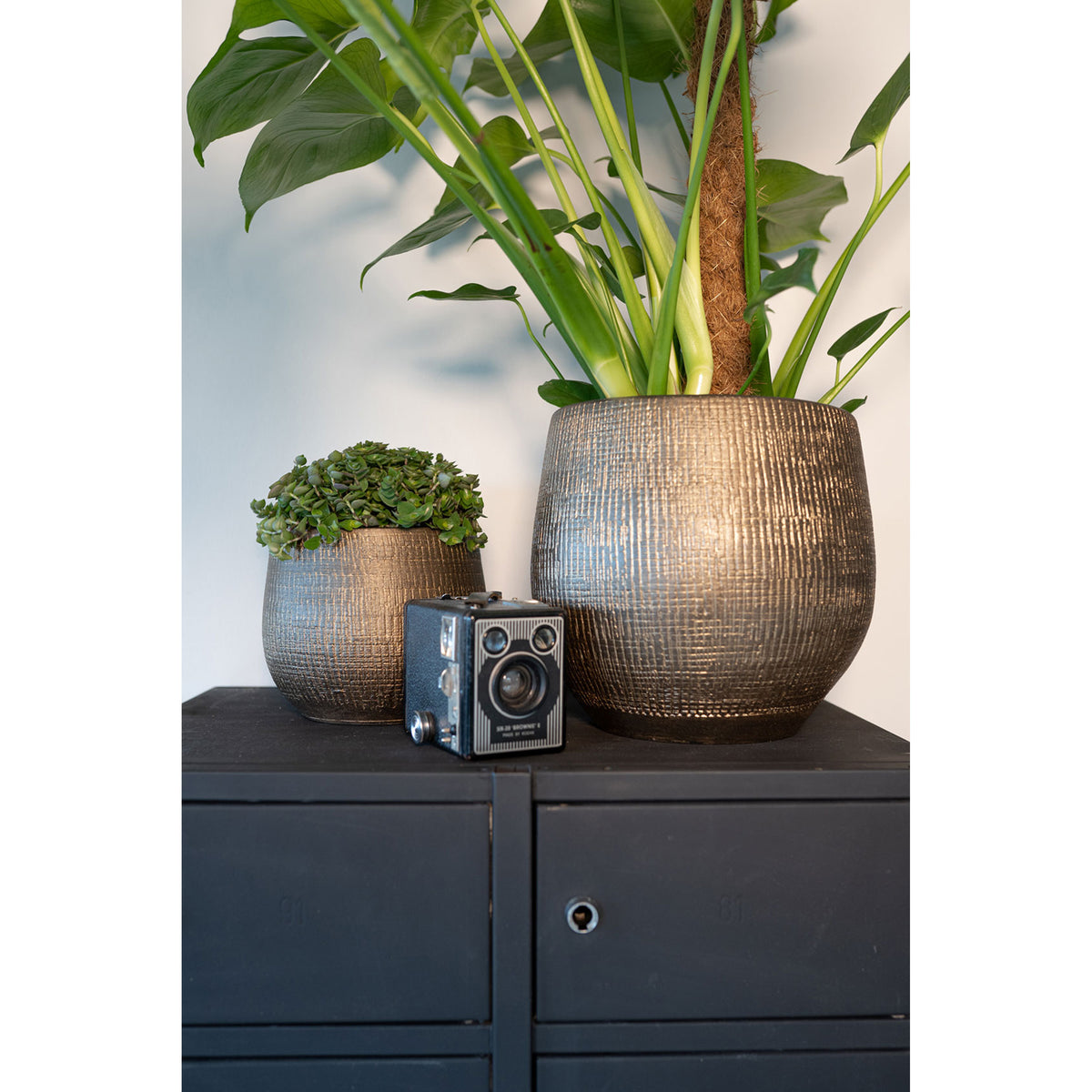 plantenpot-bloempot-in-een-strakke-modern-design-look-metal-goud-dia-18-cm-en-hoogte-16-cm_10345111-3