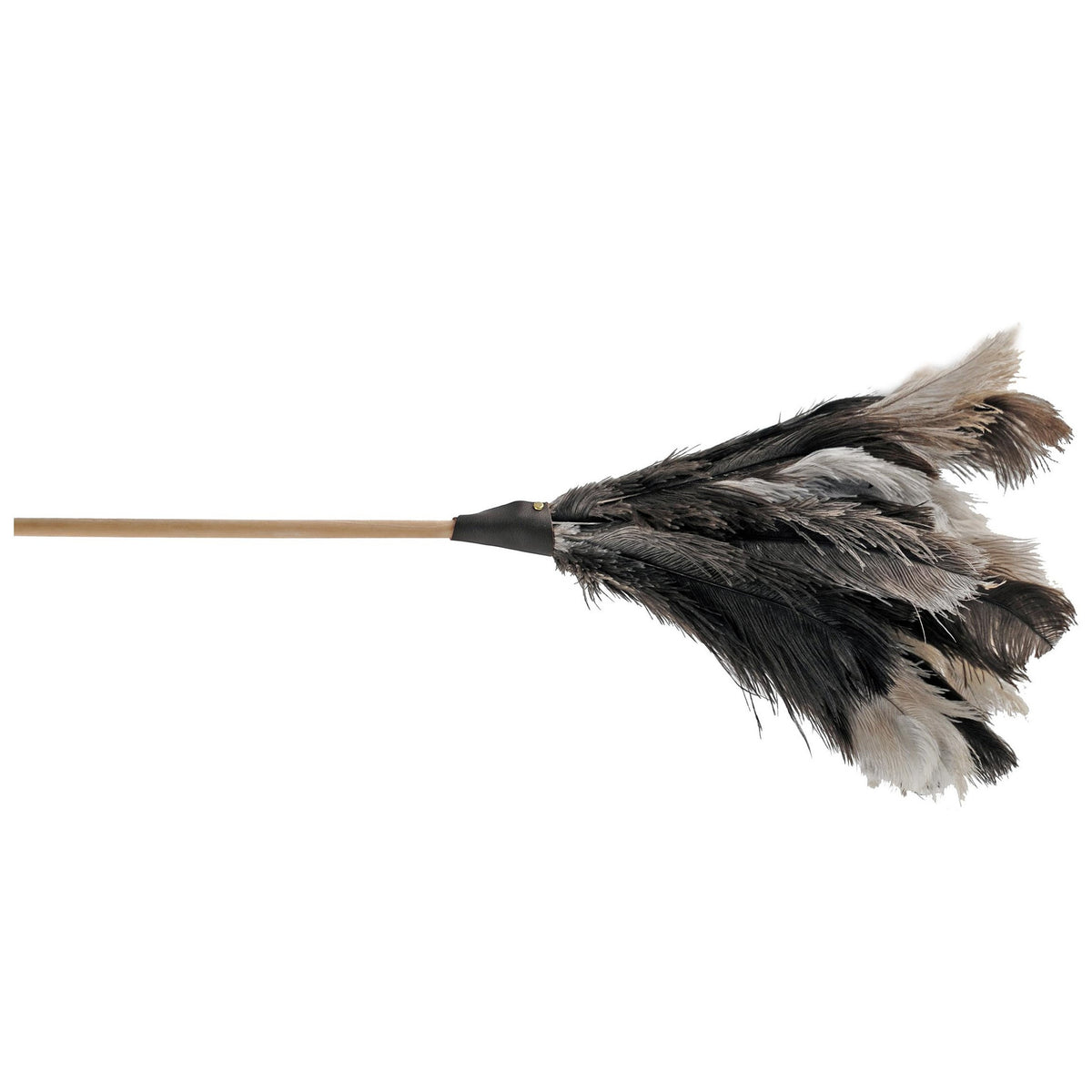 sorex-plumeau-struisvogelveren-40-cm-afstoffen_10267206