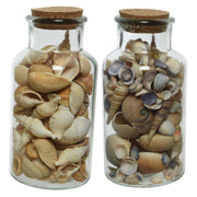 2x-stuks-deco-schelpen-in-glazen-pot-d8-x-h16-cm-bruin_10383213