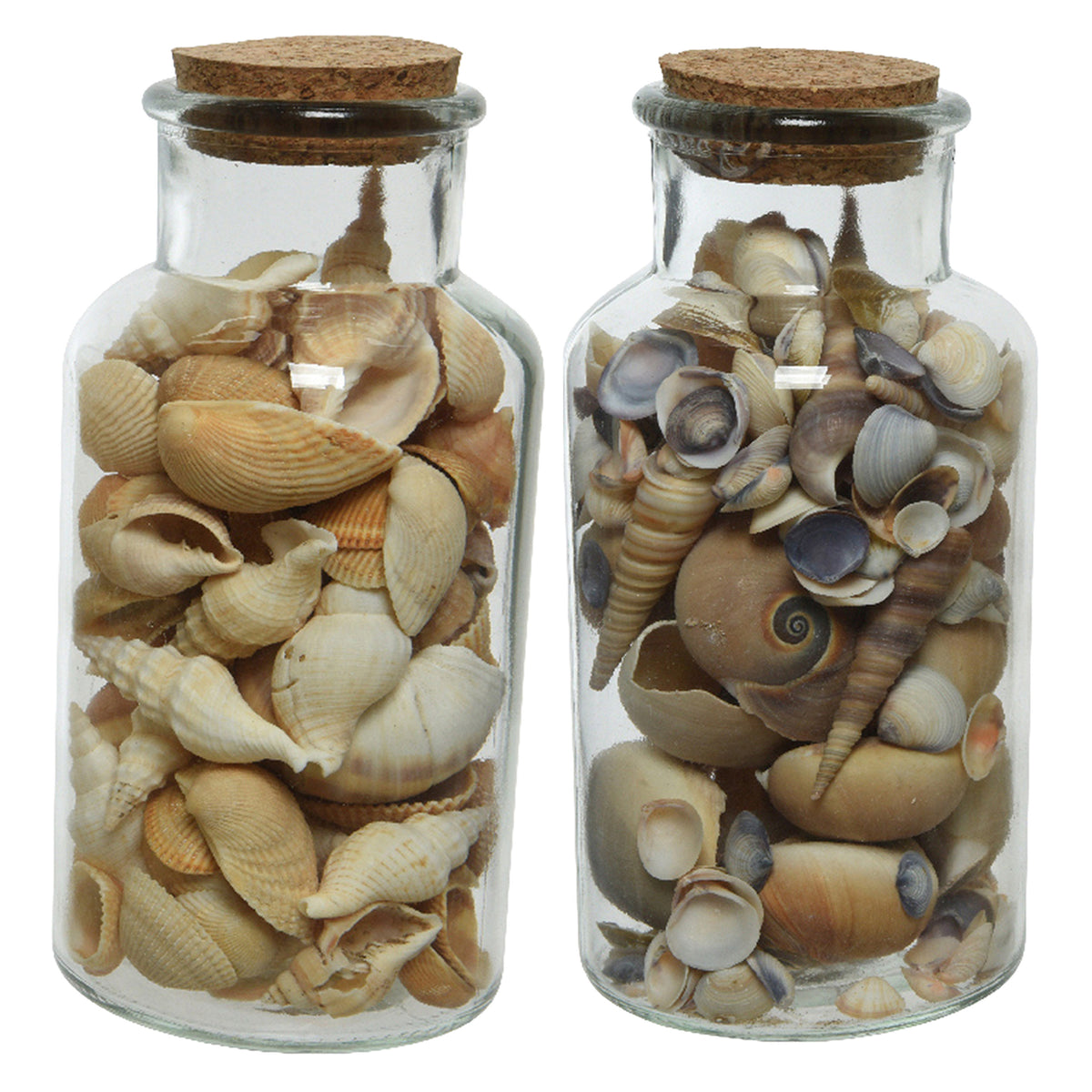 2x-stuks-deco-schelpen-in-glazen-pot-d8-x-h16-cm-bruin_10383213
