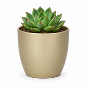 floran-plantenpot-boule-goud-mat-keramiek--d10-x-h8_10268218-3