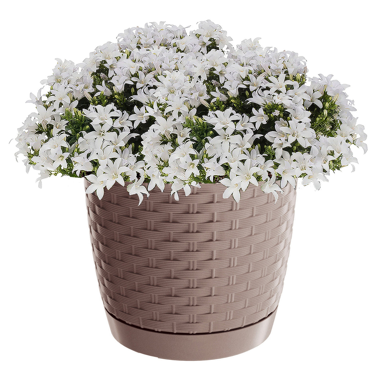 ronde-gevlochten-plantenpot-bloempot-kunststof-dia-22-cm-en-hoogte-195-cm-taupe_10350237-1