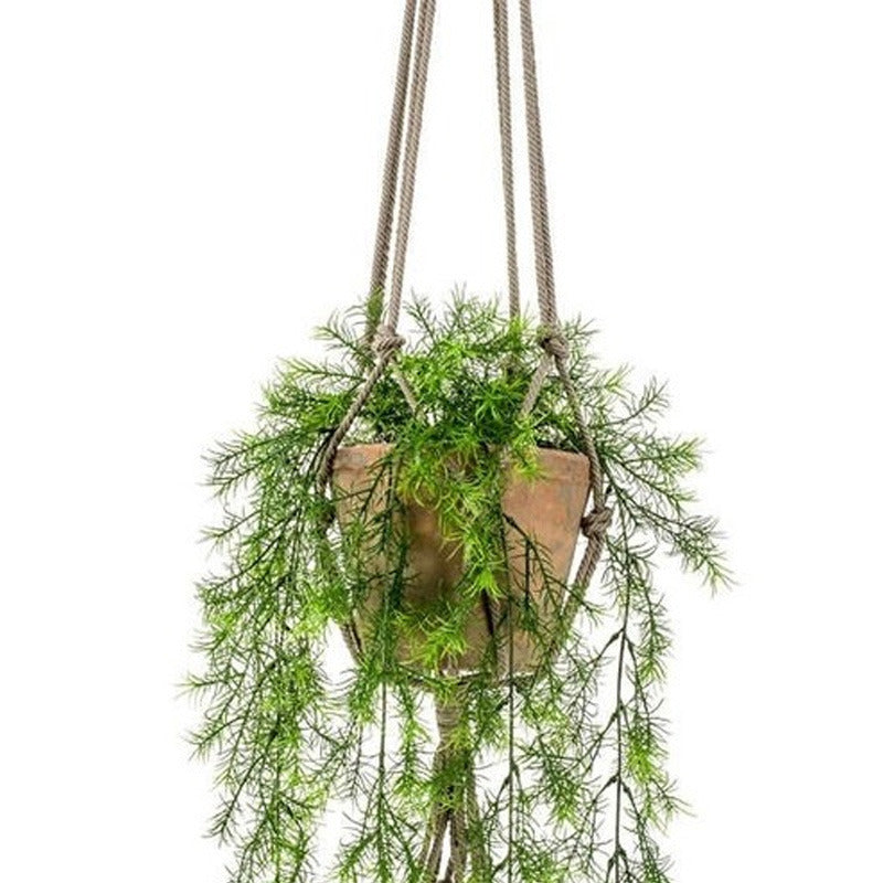 bellatio-flowers-plants-kunstplant-varen-groen-75-cm-in-terracotta-hangpot_10116269-2