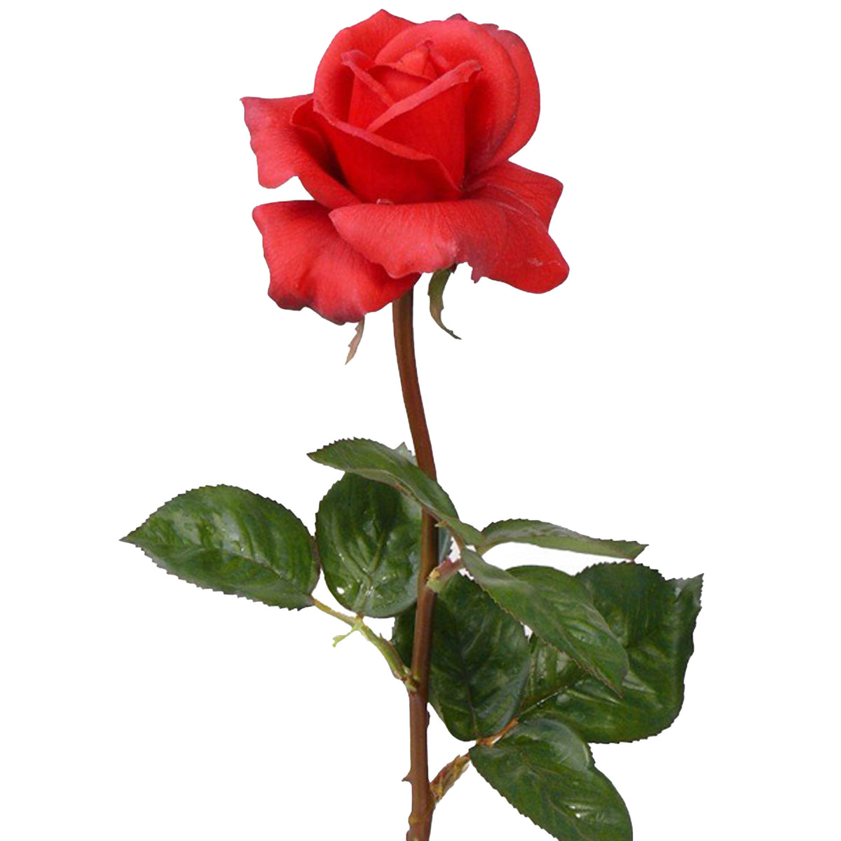 kunstbloem-roos-caroline-rood-70-cm-zijde-kunststof-steel-decoratie-bloemen_10416314