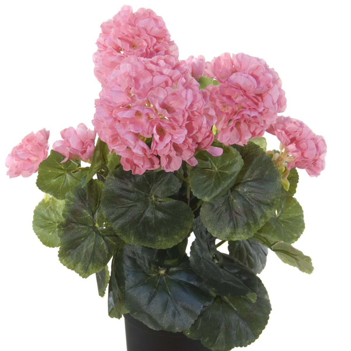 louis-maes-kunstplant-geranium-roze-in-zwarte-pot-35-cm_10255324-2