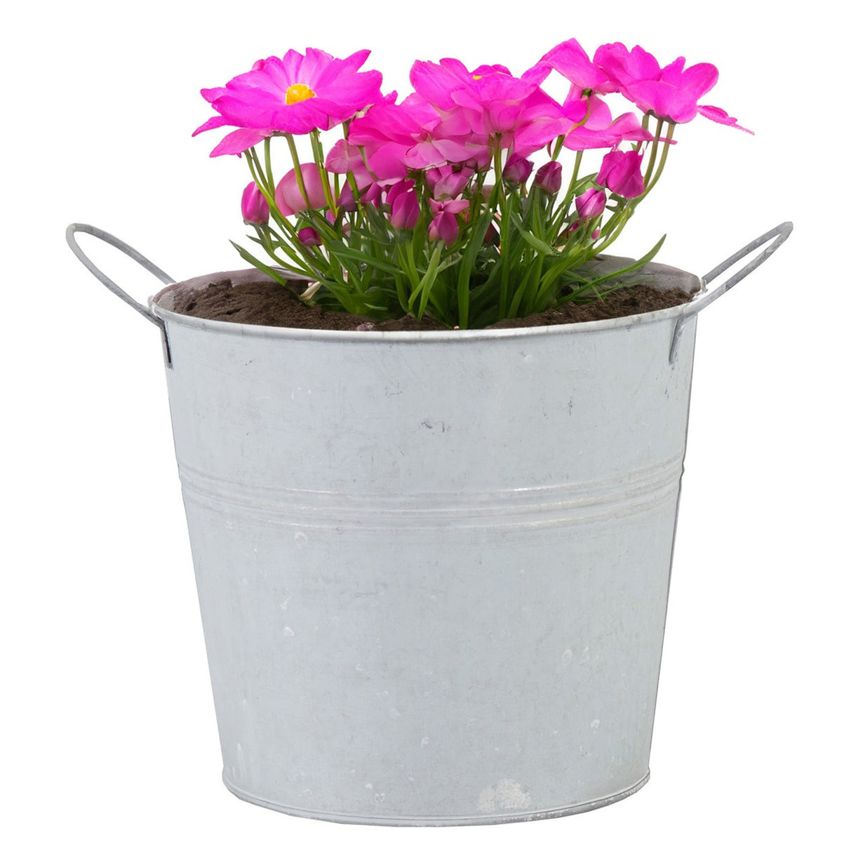 emmer-plantenpot-bloempot-zink-whitewash-d14-x-h12-cm_10384327-6