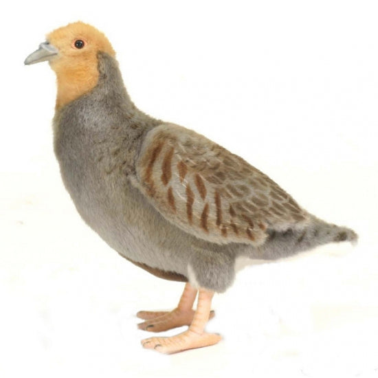 Hansa Plush Partridge - bird - 26 cm - animal
