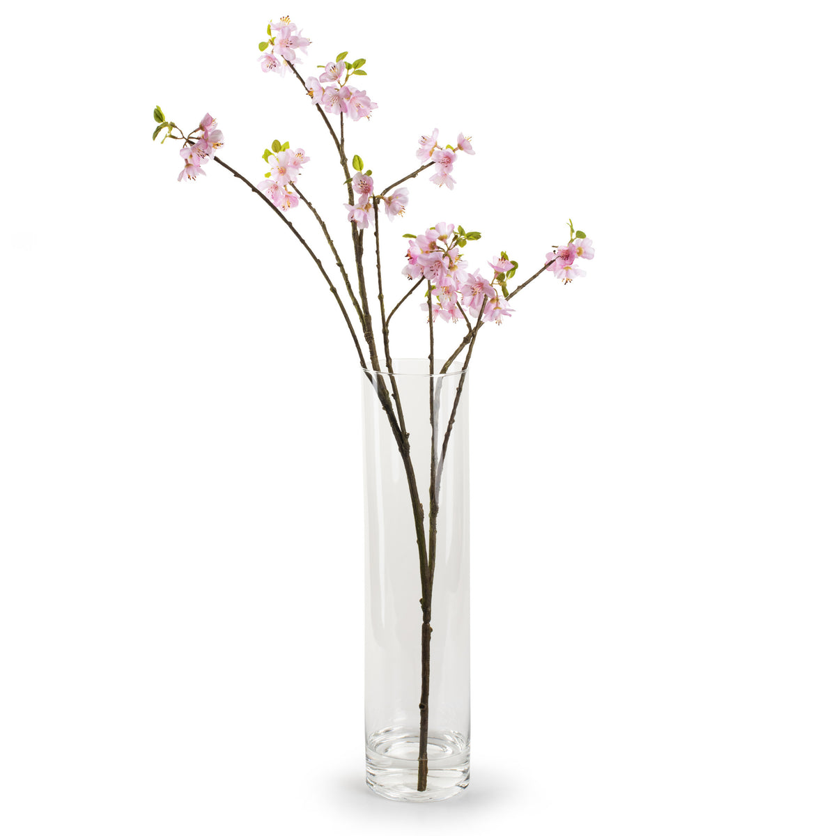 jodeco-cilinder-bloemenvaas-transparant-glas-d10-x-h40-cm_10237350-7