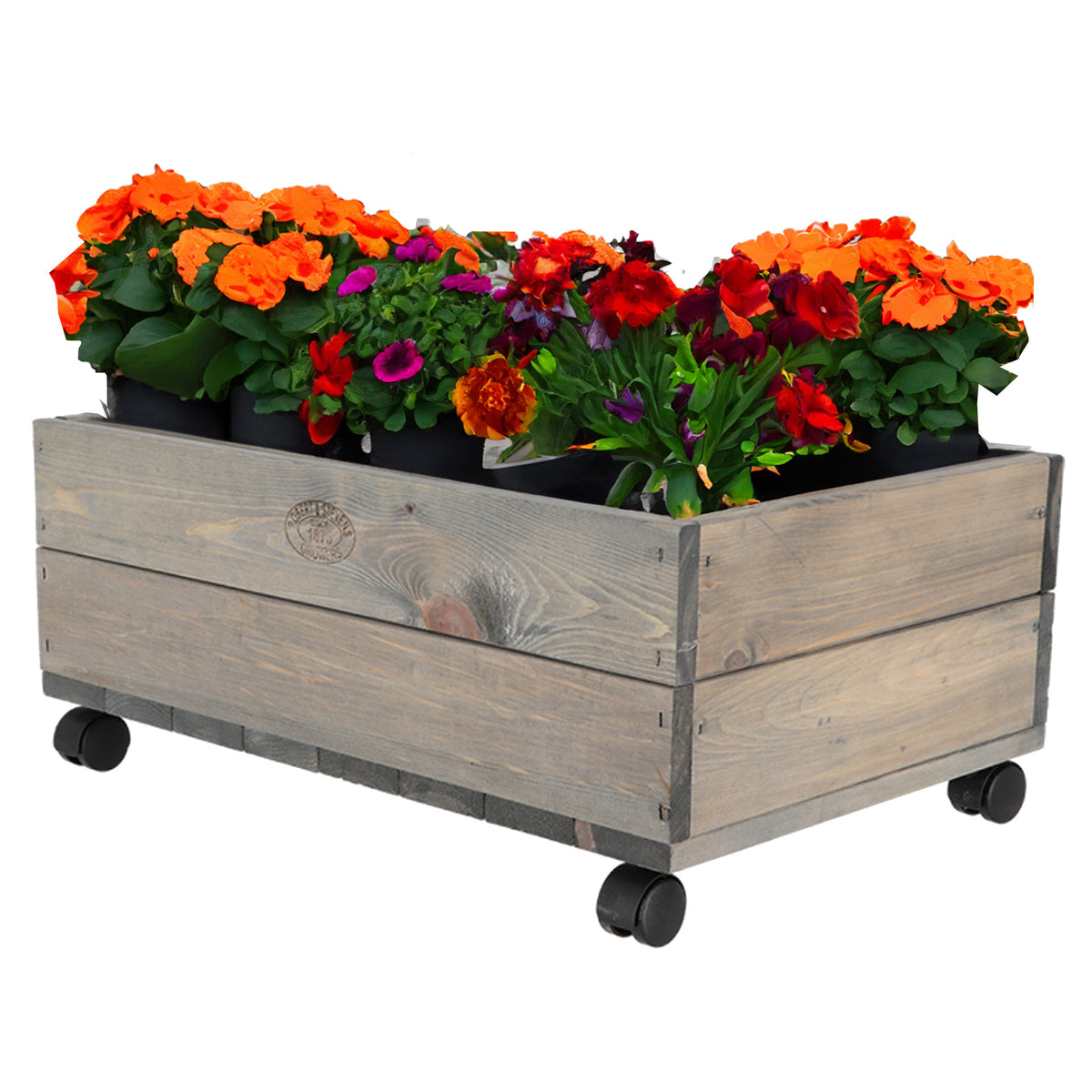 esschert-design-plantenbak-met-zwenkwielen-vurenhout-59-x-39-x-25-cm-voor-buiten_10433381-5