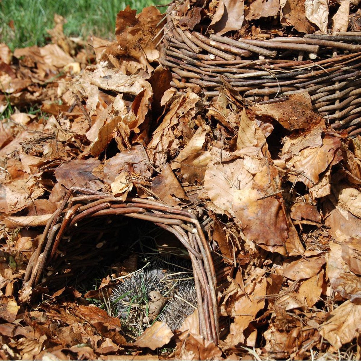 esschert-design-egel-huisje-egelmand-wilgentakken-52-x-38-x-26-cm-nest-voor-egels_10479385-1