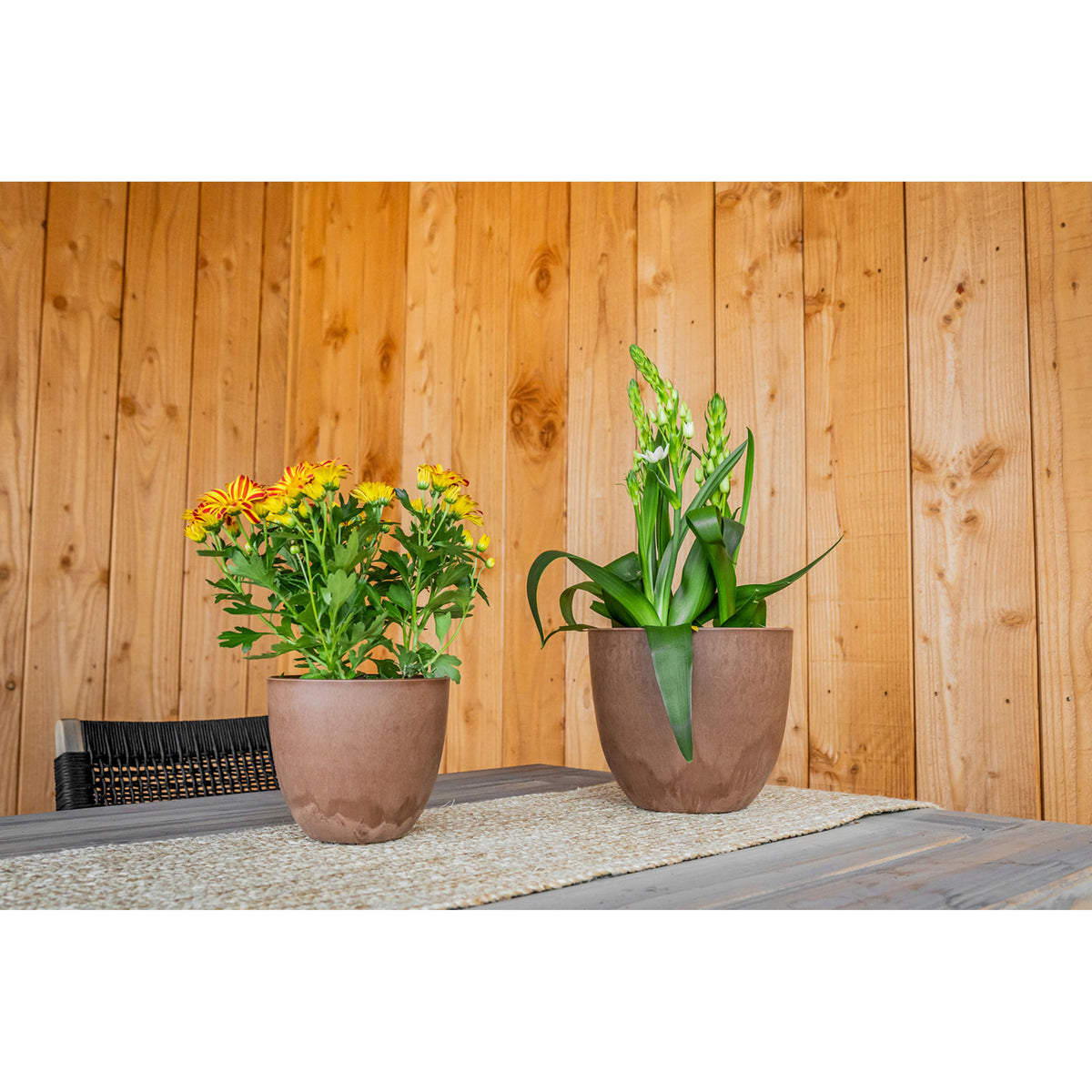 ter-steege-plantenpot-terra-bruin-kunststof-33-x-29-cm-met-drainagesysteem_10291404-2