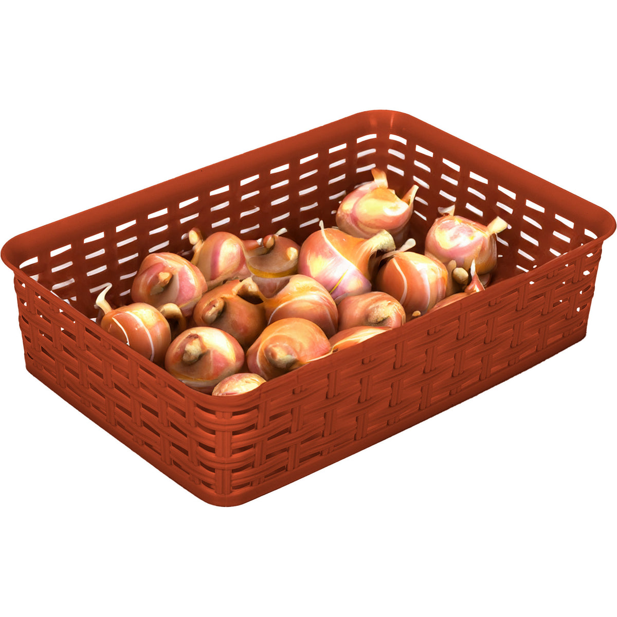 opbergmandje-ladeverdeler-terra-bruin-2-liter-kunststof-17-x-25-x-6-cm-kleine-bakjes_10437404-2