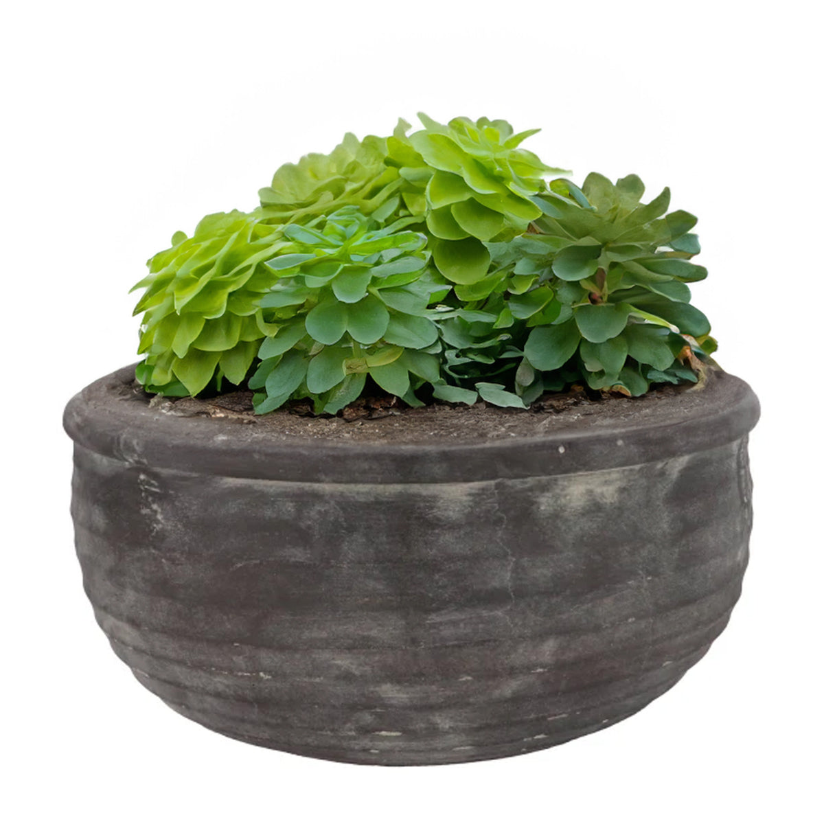 bloempot-schaal-laag-model-gamla-antraciet-grijs-structuur-streep-31-x-31-x-14-cm_10448416-2