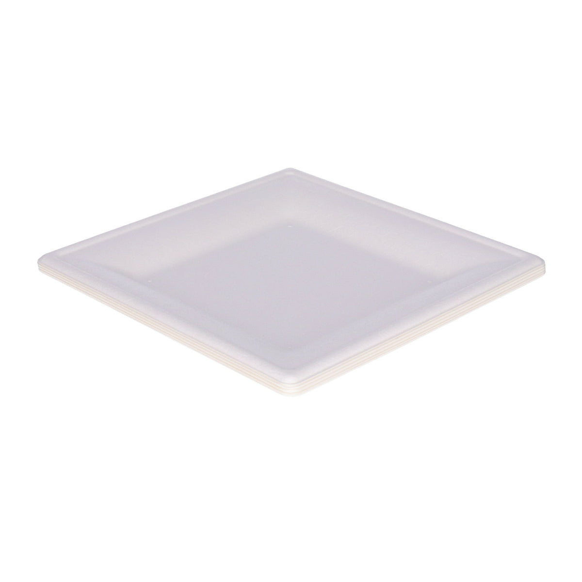 bbq-verjaardag-feest-bordjes-8x-1vaks-wit-d21-cm-suikerrietpulp-composteerbaar_10448428-6