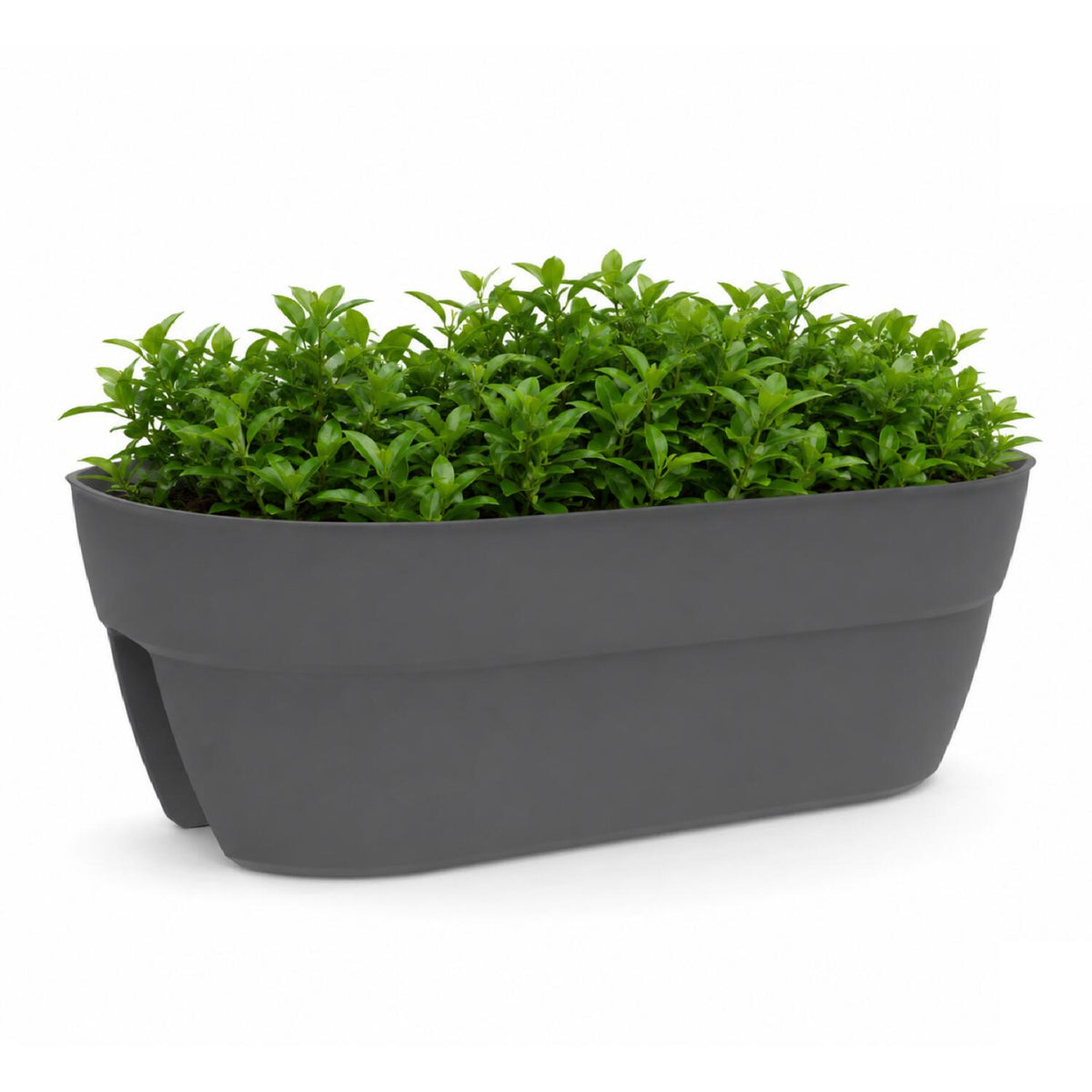 eda-balkon-plantenbak--bloempot-osaka-antraciet-56-x-30-x-20-cm-ovaal-kunststof_10503445-8