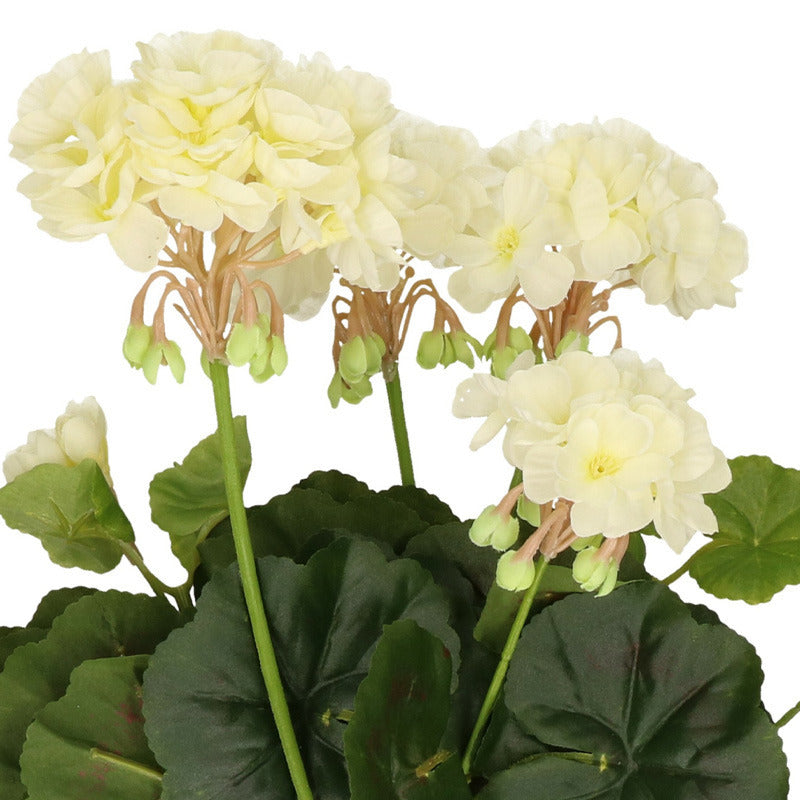 kunstplant-geranium-wit-30-cm_10056449-2