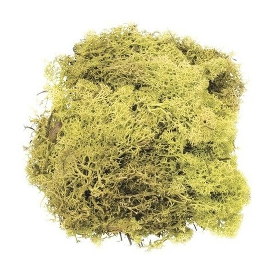 decoratie-nep-mos-lichtgroen-50-gram-hobby-knutselen-herfst-kerst-thema-decoreren_10129497