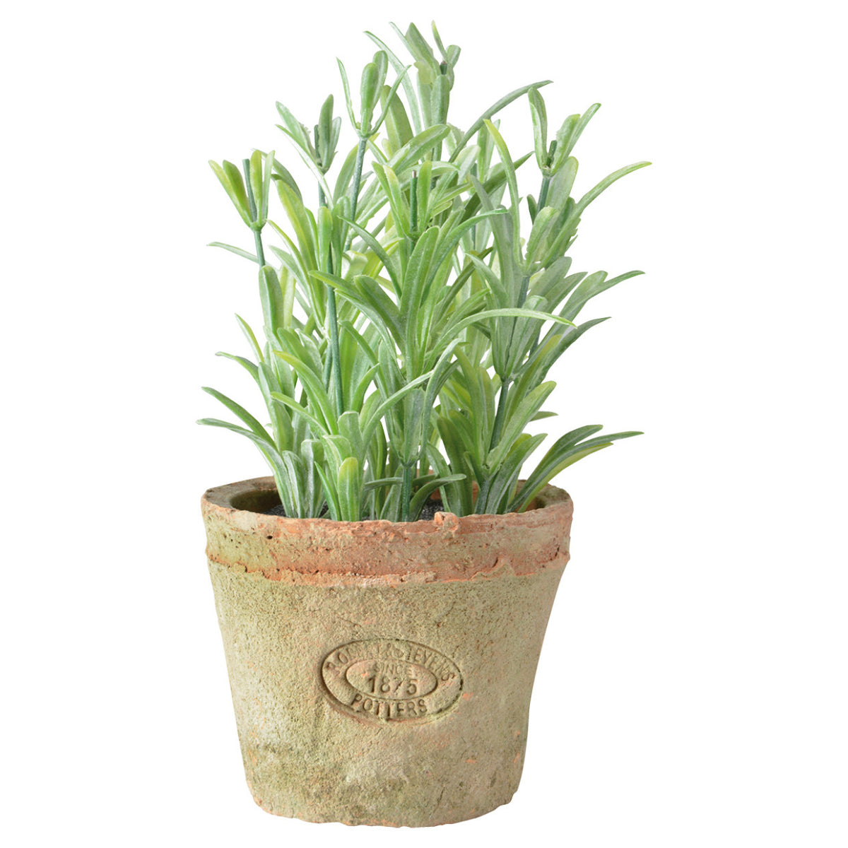 kunstplant-kruiden-rosemarijn-in-oude-terracotta-pot-16-cm-kruiden_10286501
