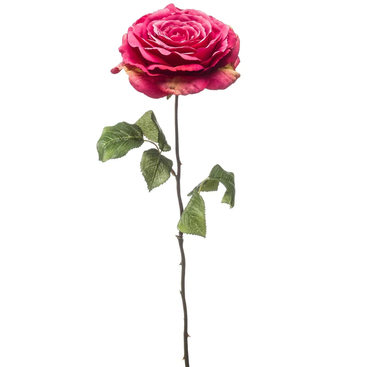 kunstbloem-roos-laurie-tak-57-cm-fuchsia-kunst-zijdebloemen_10435512