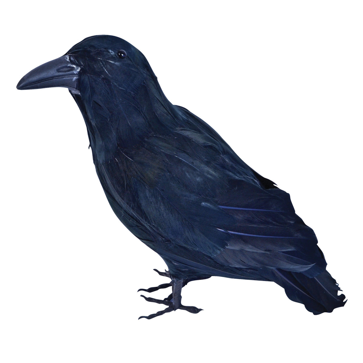 horror-decoratie-raaf-kraai-zwart-30-cm-halloween-thema-versiering-kerkhof-kraaien-vogels_10050524-1