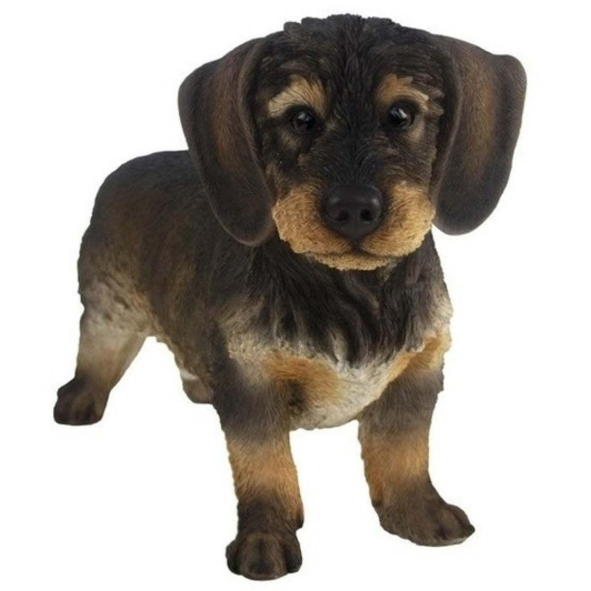 tuinbeeld-ruwharige-teckel-hond-bruin-29-cm-polystone_10142567-1