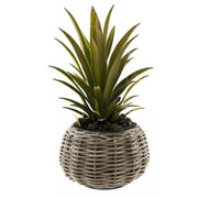 planten-bloemen-mand-tina-cilinder-rotan-gevlochten-riet-d30-x-h19-cm-drypot_10470569-1
