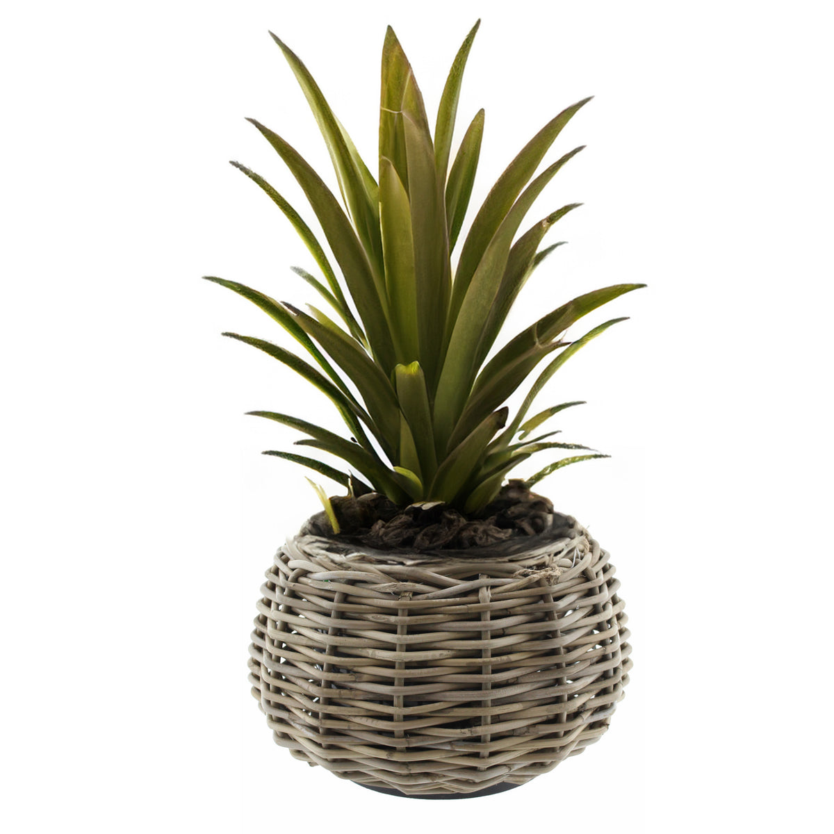 planten-bloemen-mand-tina-cilinder-rotan-gevlochten-riet-d30-x-h19-cm-drypot_10470569-1
