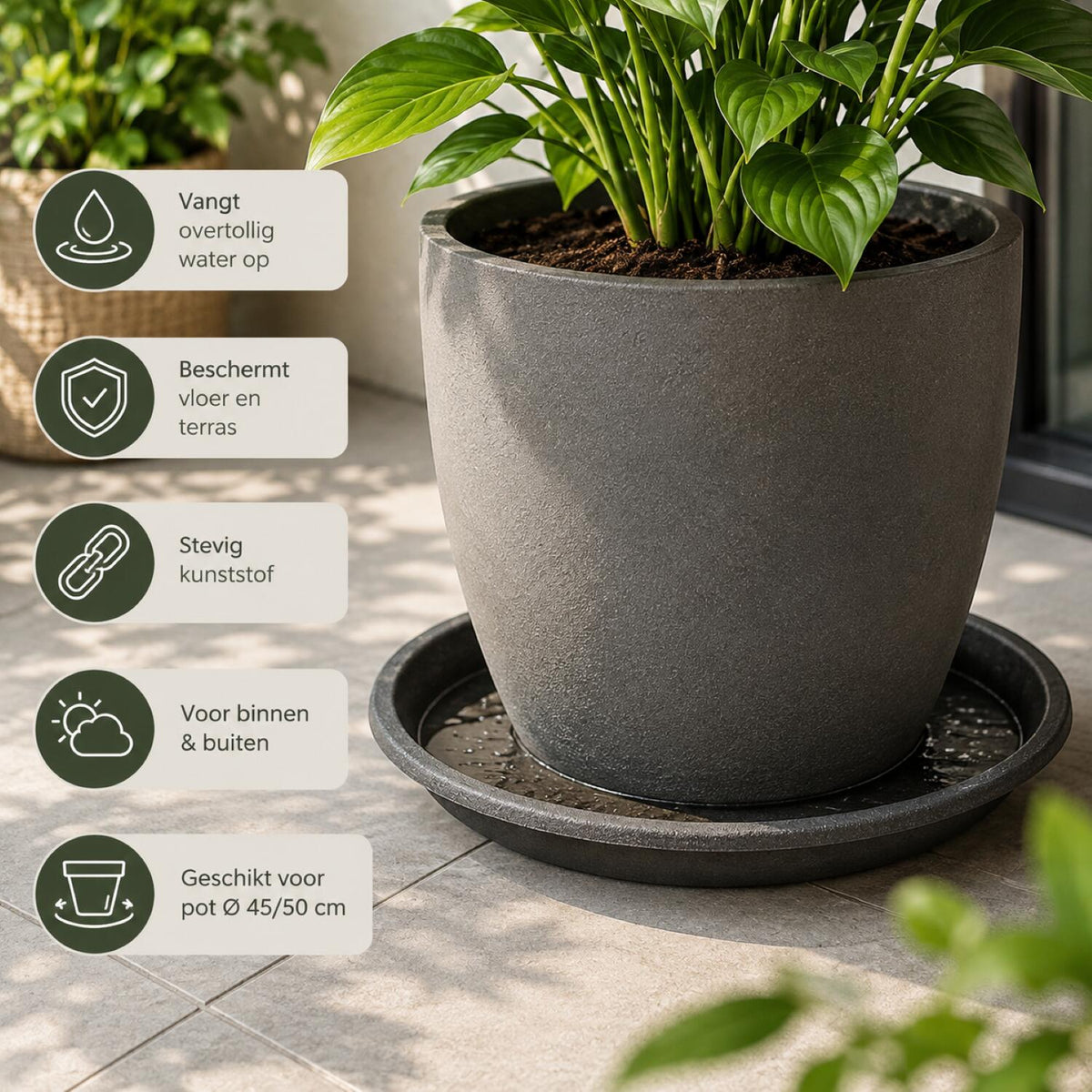 opvangschaal-onderbord-plantenpot-antraciet-d40-cm-kunststof-voor-pot-dia-45-50-cm_10254580-7