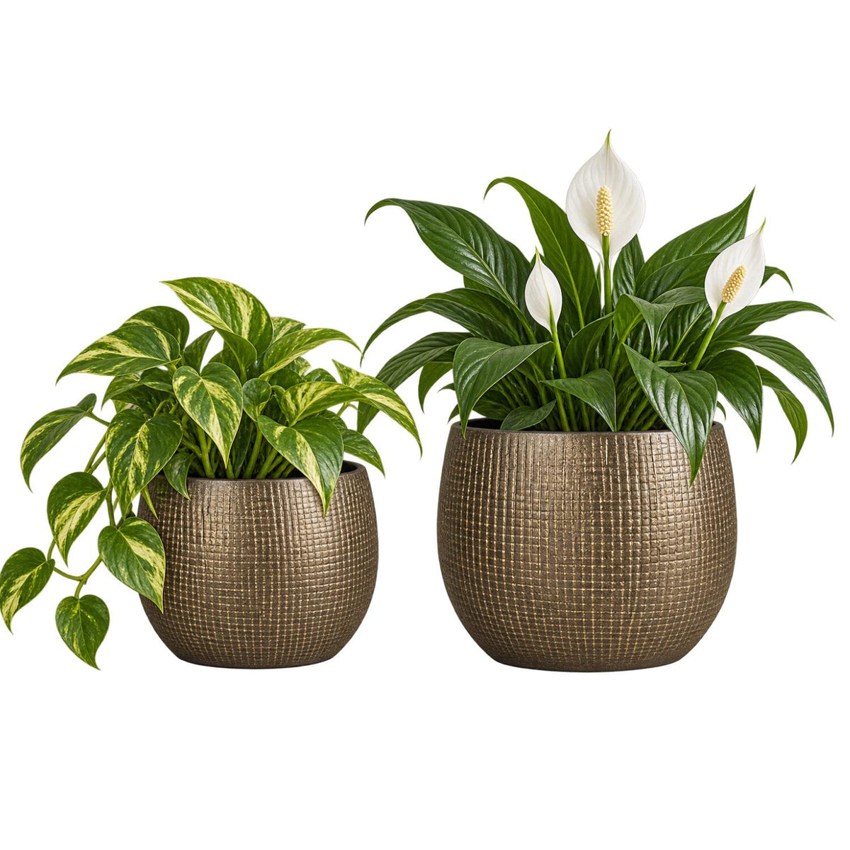 ter-steege-plantenpotten-set-2x-stuks-modern-design-look-metal-goud-dia-18-en-16-cm_10492596-1