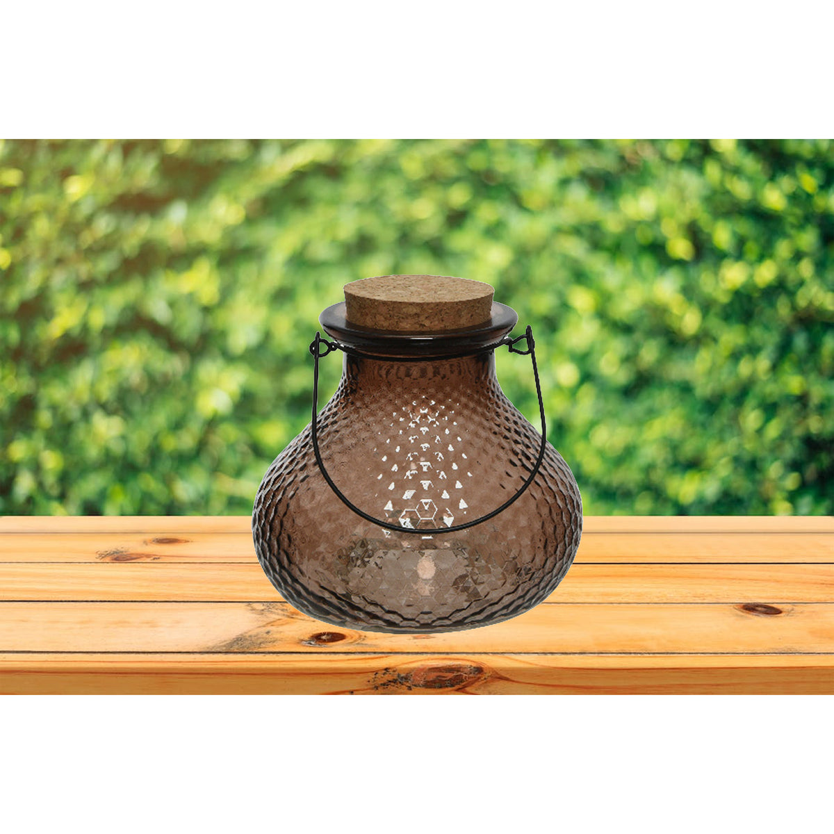 wespenvanger-wespenval-met-hengsel-glas-donkerbruin-d14-x-h13-cm_10375610-1