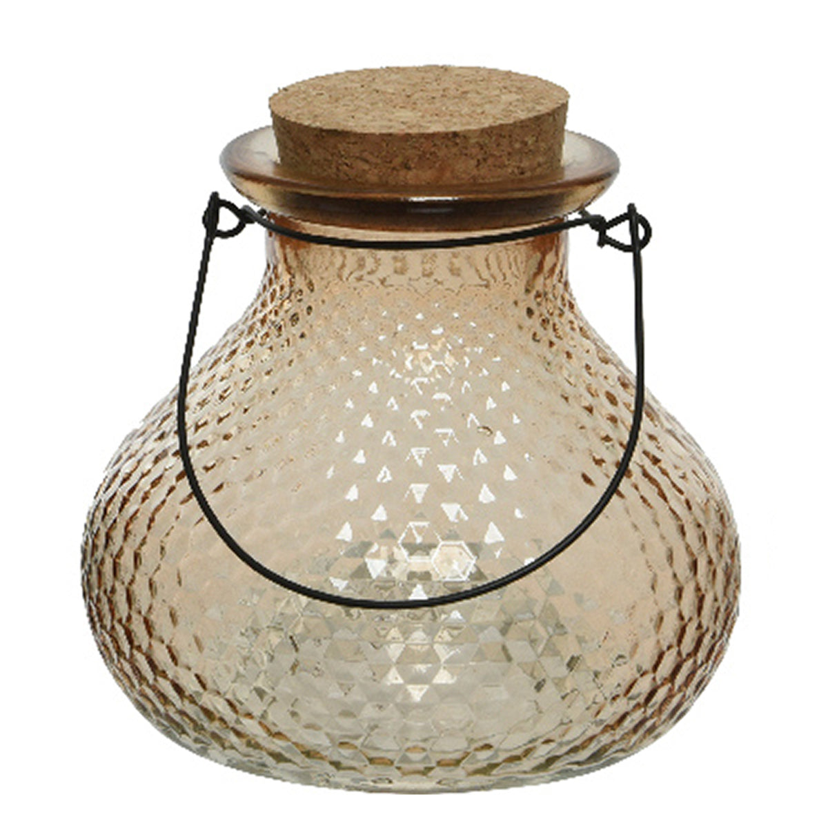 wespenvanger-wespenval-met-hengsel-glas-lichtbruin-d14-x-h13-cm_10375613