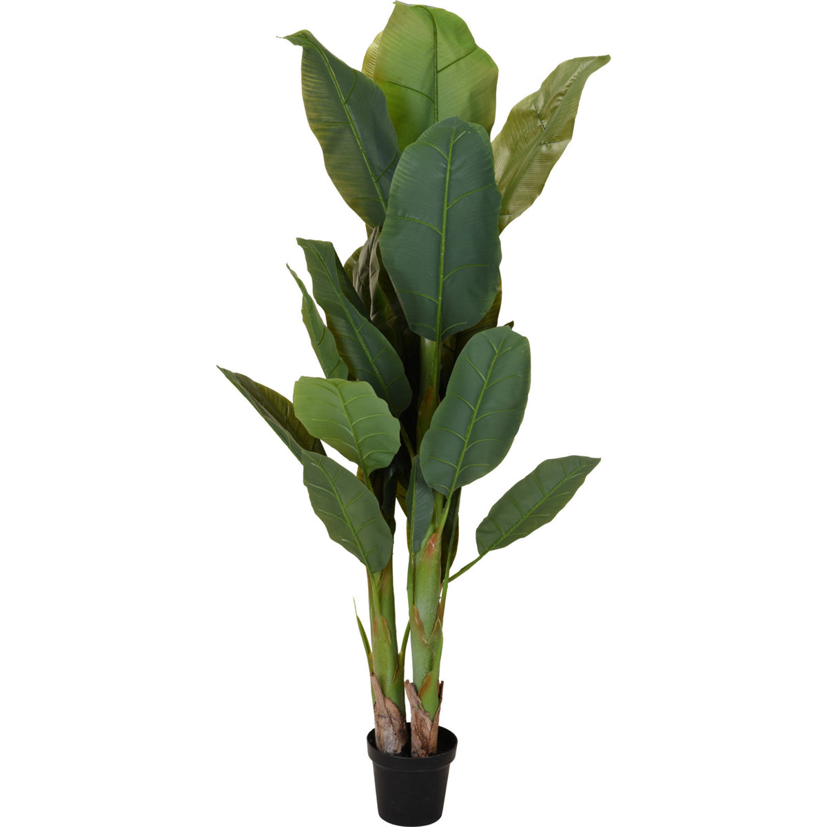 kunst-bananenplant-in-pot-165-cm-kunstplant-voor-binnen-bananenboom_10435652