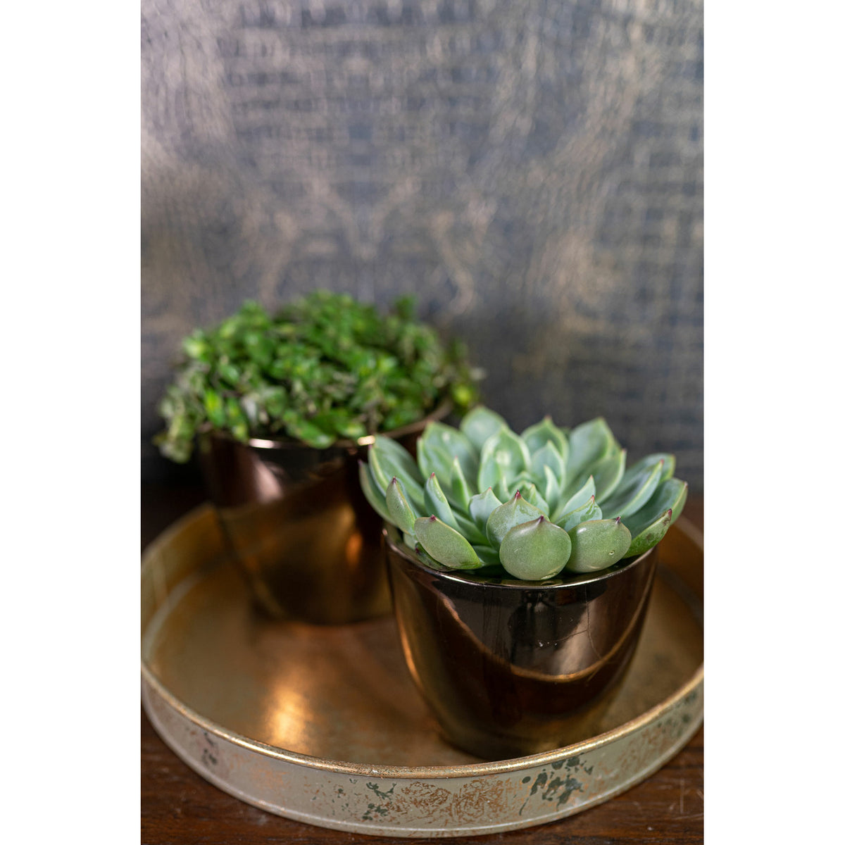 ter-steege-bloempot-goud-scandinavisch-20-x-19-cm_10342653-1