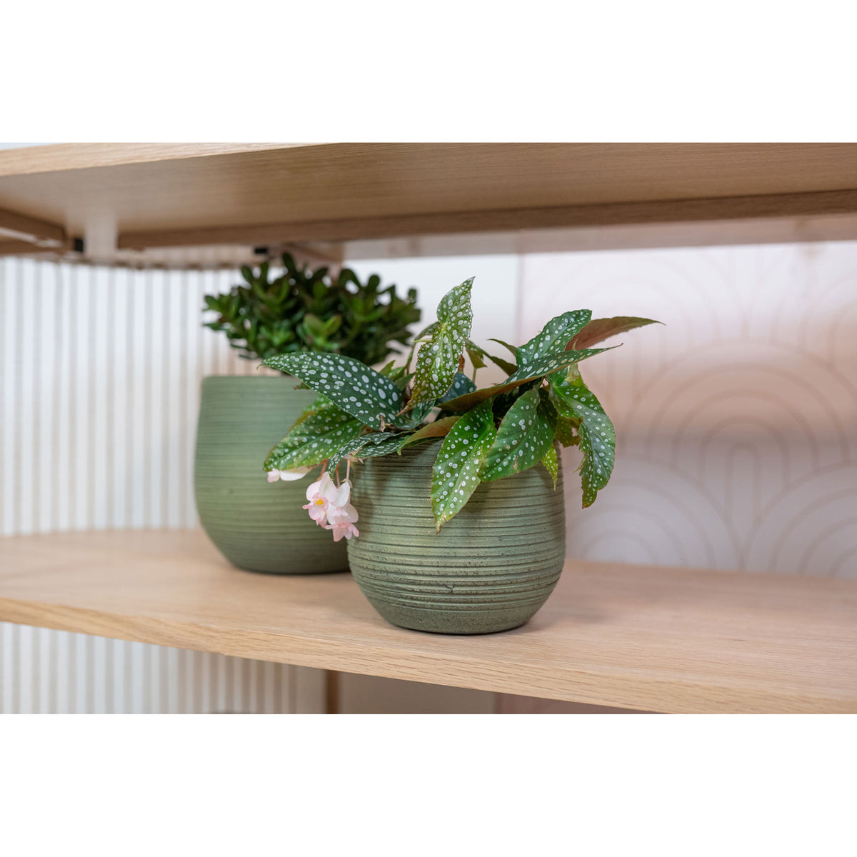 ter-steege-steege-plantenpot-keramiek-donkergroen-stripes-d36xh32-cm_10377658-1